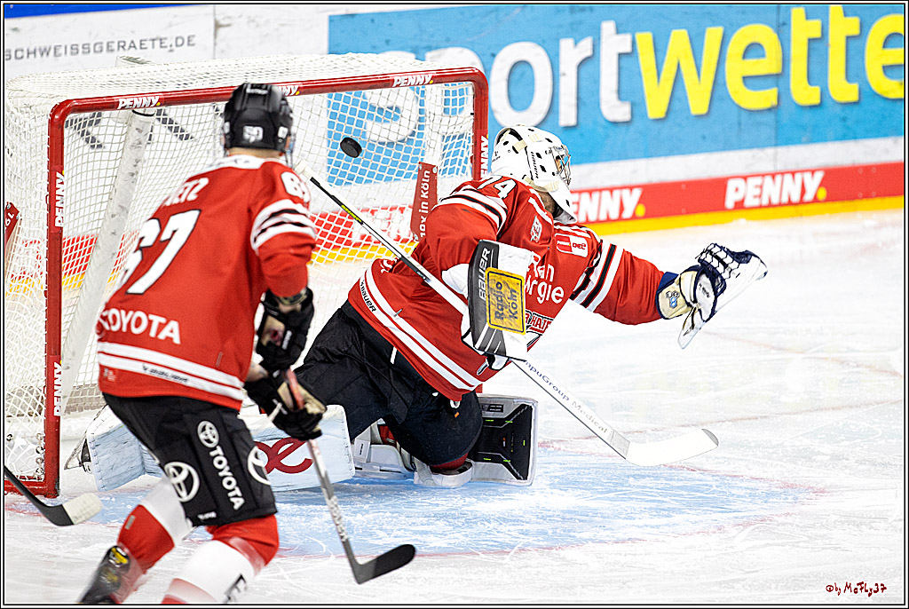 PENNY DEL;  Kölner Haie - Straubing Tigers; Köln, 09.10.2022